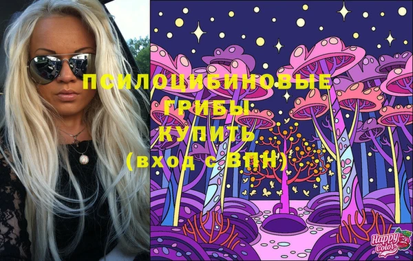 ECSTASY Богородицк