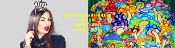 ECSTASY Богородицк