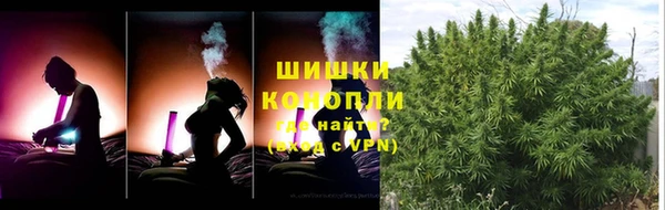 ECSTASY Богородицк