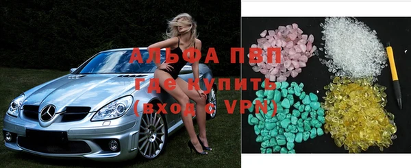 ECSTASY Богородицк