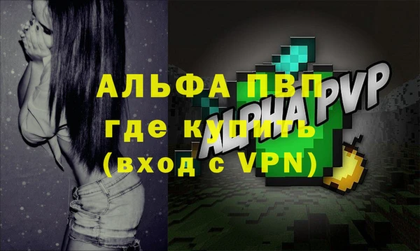 гашик Богородск