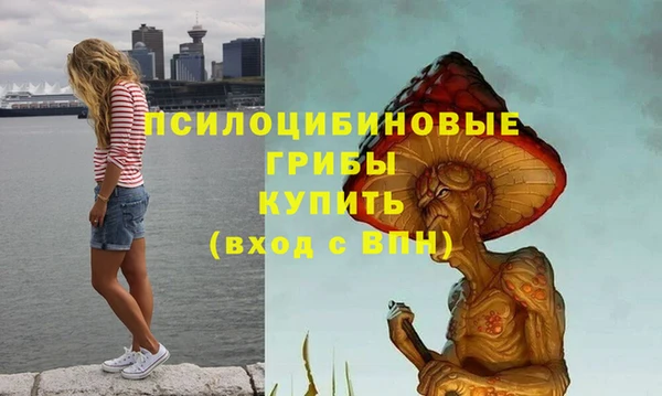 ECSTASY Богородицк