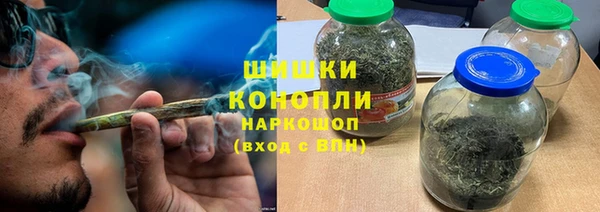 гашик Богородск