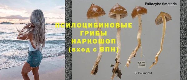 гашик Богородск