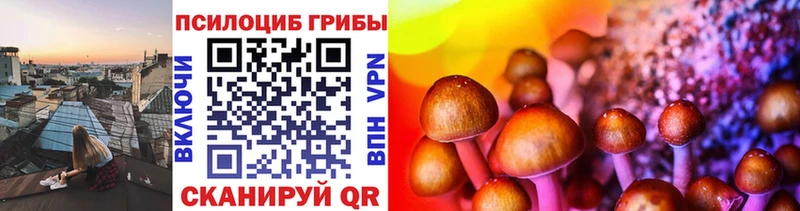 Галлюциногенные грибы Psilocybine cubensis  shop как зайти  Оренбург  где купить  